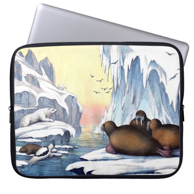 Polar Bears, Walrus, And Seals Laptop Sleeve (Front)