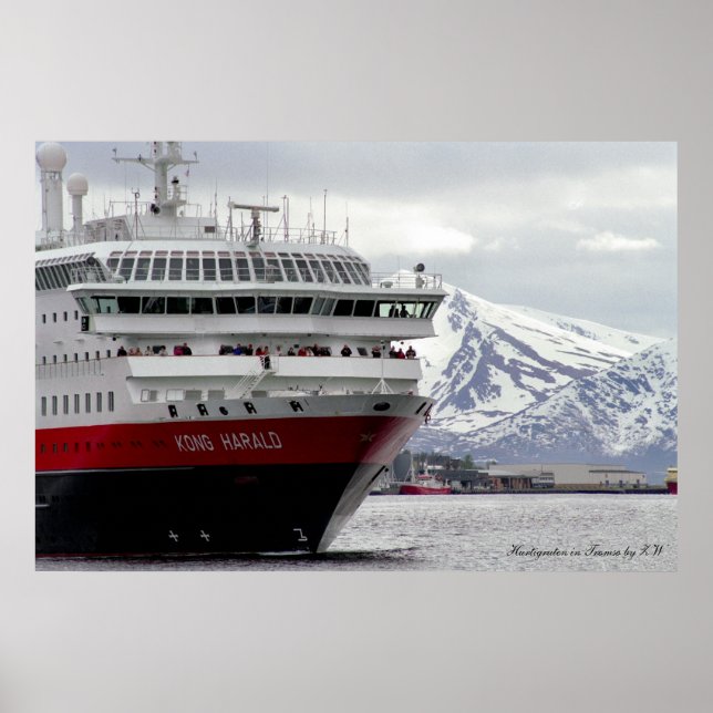 Polar Cruiseship Poster (Front)