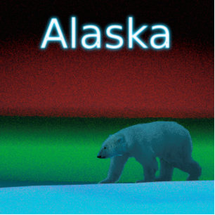 Polar Lights Polar Bear - Alaska Photo Sculpture Magnet