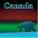 Polar Lights Polar Bear - Canada Photo Sculpture Magnet<br><div class="desc">A polar bear roams the ice during the long polar night; the Northern Lights in red and green glow in the distance. Text reading "Canada" appears in glowing blue. Polar bears are highly endangered. How much longer will scenes like this be able to occur? Please help save Polar Bears from...</div>