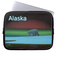 Polar Lights Polar Bear