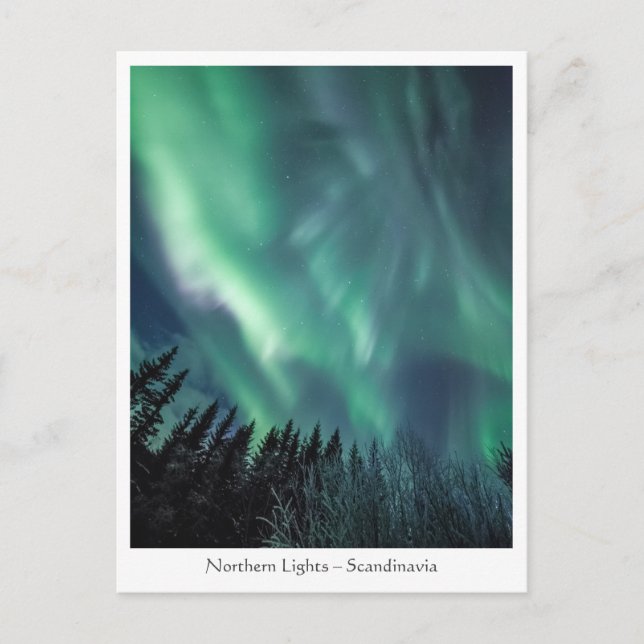 Polar Lights Postcard (Front)