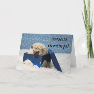 Polar Pog "Seasons Greetings" card