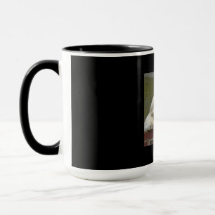 PolarBear20150501 Mug