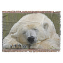 PolarBear20150501
