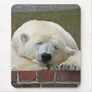 PolarBear 001 Mouse Mat