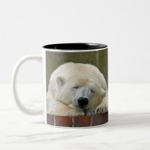PolarBear 001 Two-Tone Coffee Mug
