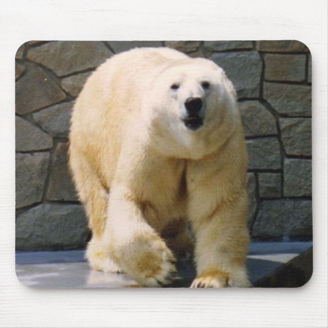 Polarbear Mouse Mat (Front)