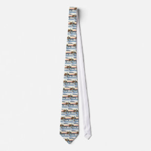 Polaris Sunset Tie