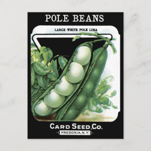 Pole Beans Vintage Seed Packet Lima Garden Veggies Postcard