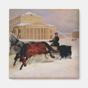 Pole Pair with a Trace Horse at Bolshoi Magnet