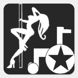 pole_wheelchair_gs_zazzle.jpg square sticker