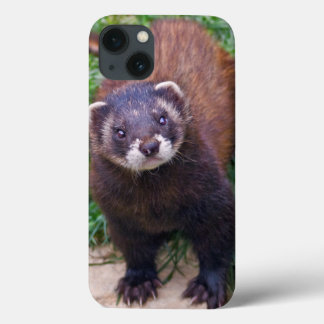 Polecat iPad Case