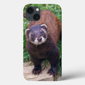 Polecat iPad Mini Case