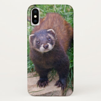 Polecat iPhone X Case