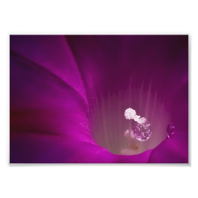 Polen Glitter Photo Print (Front)