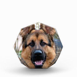 Police Dog Photo Block