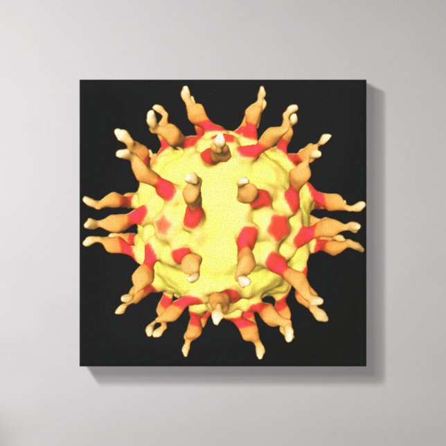 Polio Virus, Showing the Receptors Canvas Print (Front)