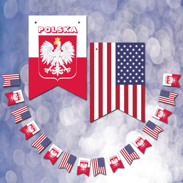 Polish American party flags, Poland flag / USA (Creator Uploaded)