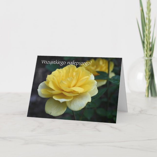 Polish Birthday Card Sto Lat Yellow Rose (Front)