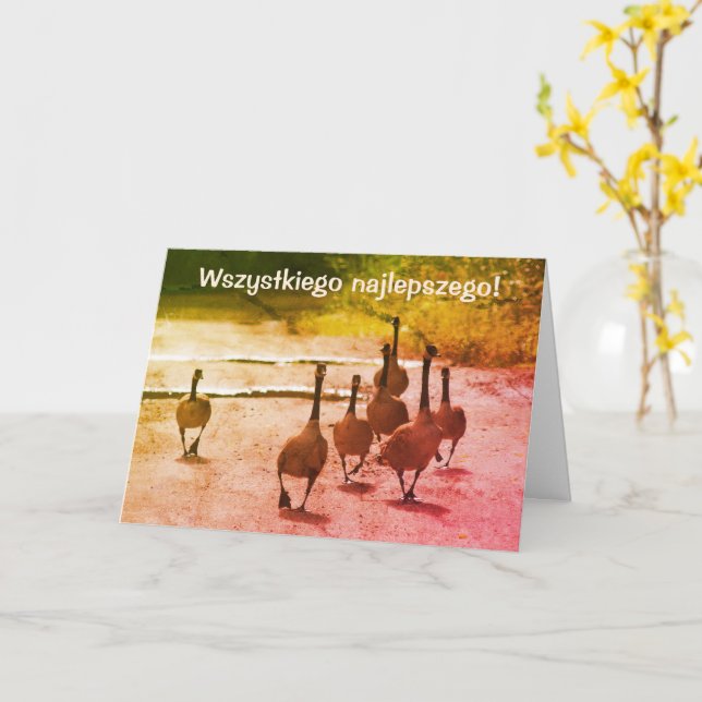 Polish Birthday Sto Lat Canada Geese  Card (Yellow Flower)