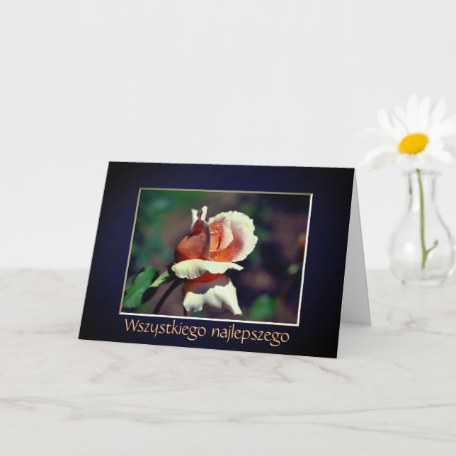 Polish Birthday Sto Lat Rosebud Flower Card (Small Plant)