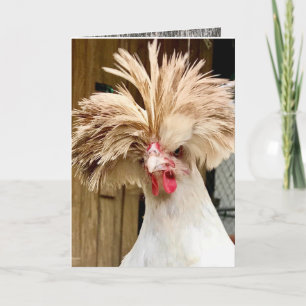 polish chicken "coop hair don't care!"  5"x7" Card
