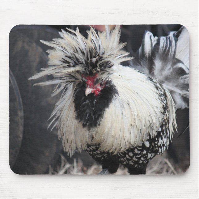 Polish Crested Rooster Mouse Mat (Front)