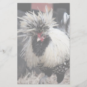 Polish Crested Rooster Stationery