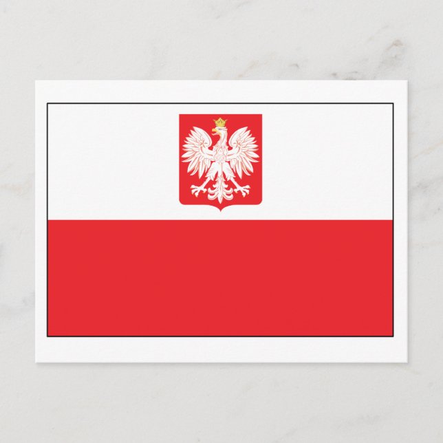 Polish Falcon Flag Postcard (Front)