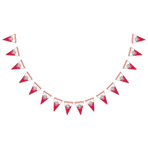 Polish Flag & Party Poland Eagle Banners /Weddings