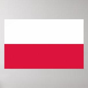 Polish Flag (Poland) Poster