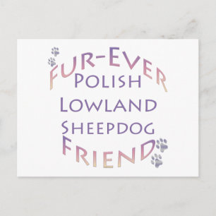 Polish Lowland Sheepdog Fur-ever Friend Postcard