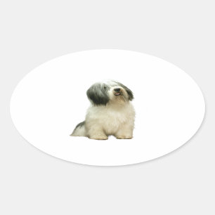 Polish Lowland Sheepdog (PON) - A Oval Sticker