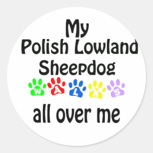 Polish Lowland Sheepdog walks Classic Round Sticker