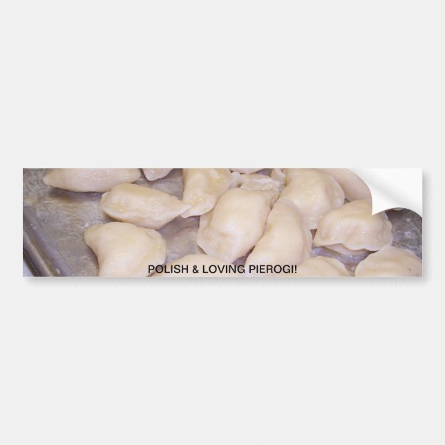 POLISH & PIEROGI BUMPER STICKER (Front)