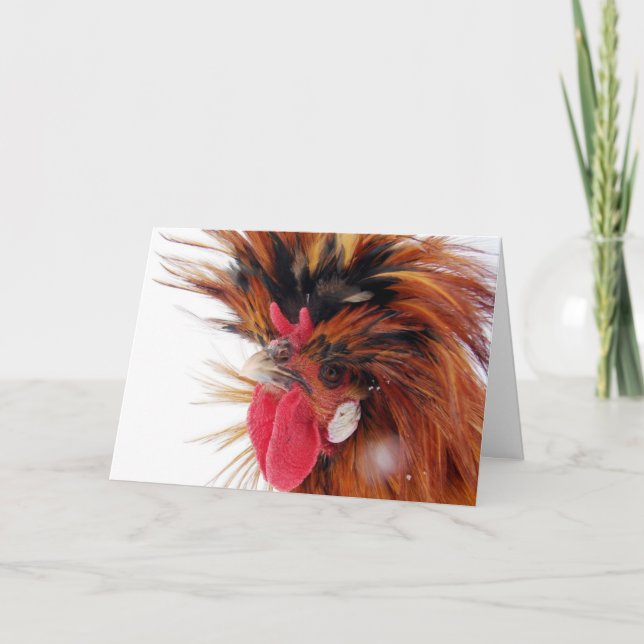 Polish Rooster Winter Snow Christmas Holiday Card (Front)