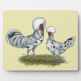 Polish Splash Chickens Plaque
