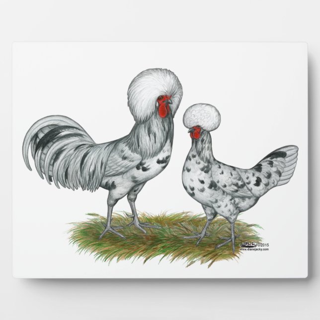Polish Splash Chickens Plaque (Front)