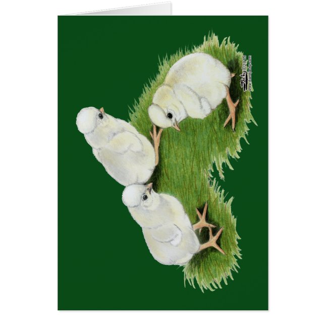 Polish Splash Chicks (Front)