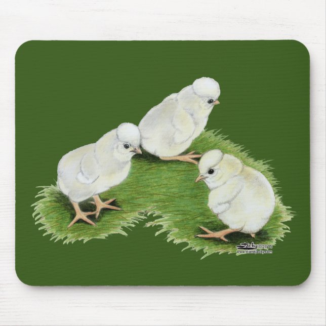Polish Splash Chicks Mouse Mat (Front)