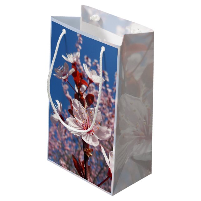 Polish spring blossoming, small gift bag (Back Angled)