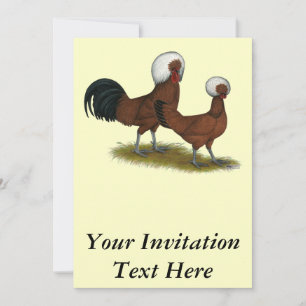 Polish:  White Crested Reds Invitation