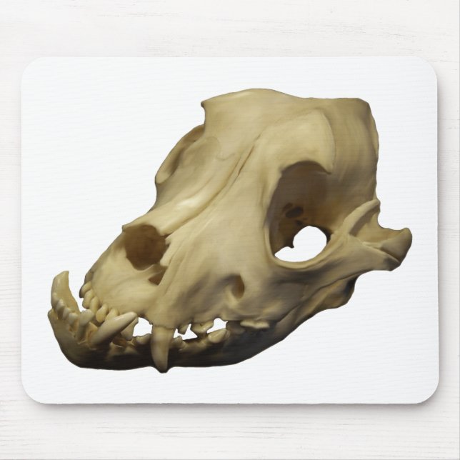 Polished Bulldog Canine Skull Mouse Mat (Front)