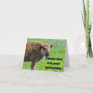 POLITE BABY BUFFALO SAYS  ***HAPPY BIRTHDAY*** CARD