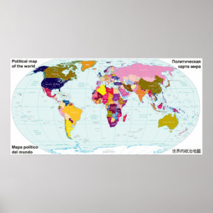 Political map of the World Poster