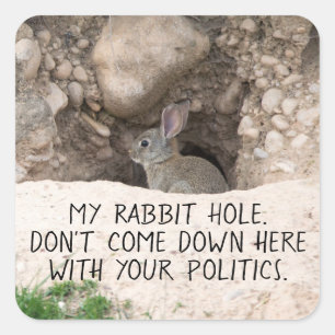 Political Rabbit Hole Bunny Photo Politics Humour Square Sticker