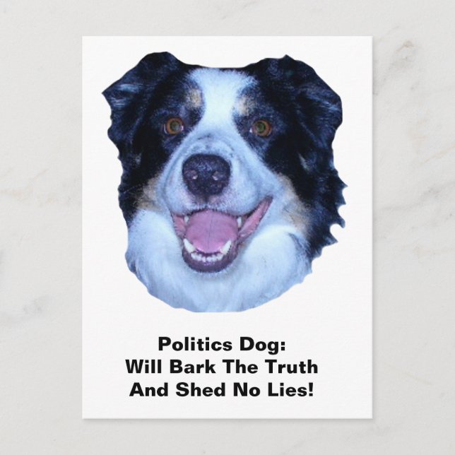 Politics Border Collie Bark The Truth Postcard (Front)