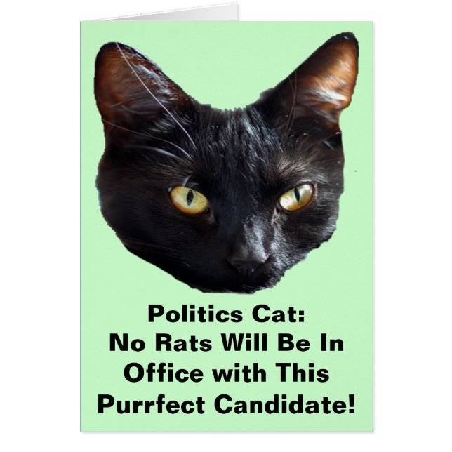 Politics Cat No Rats Will Be In Office (Front)