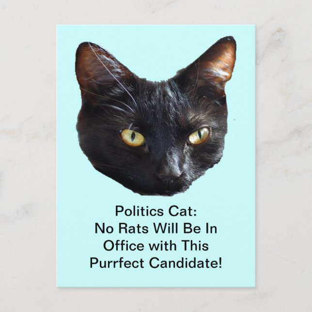 Politics Cat No Rats Will Be In Office Postcard (Front)